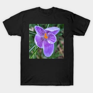 Purple, Orange and White Flower 2 T-Shirt